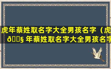 虎年蔡姓取名字大全男孩名字（虎 🐧 年蔡姓取名字大全男孩名字怎么取）